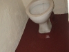 toilet-floor